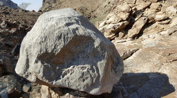 حجرة لالة العالية.. !!قصة قصيرة- عبد الرحيم هريوى – خريبكة اليوم -المغرب