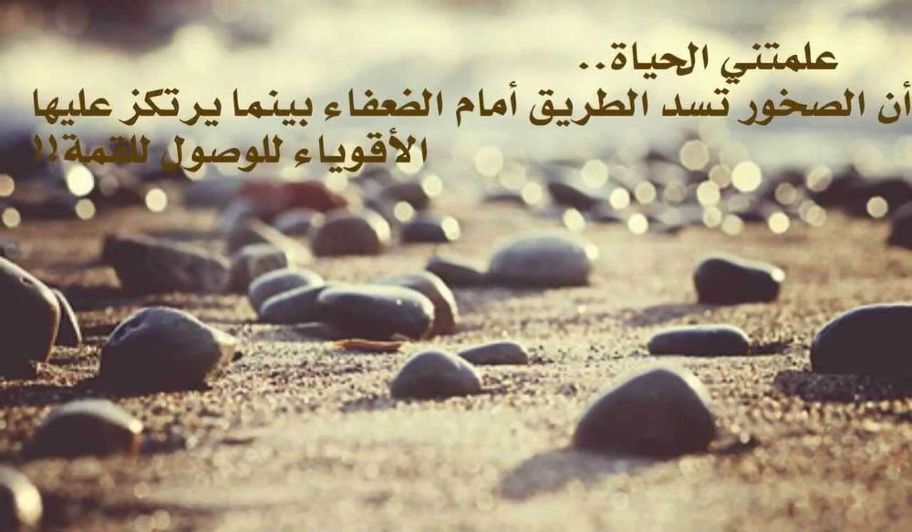 هل هو طرح وجودي بالفعل لدى الكاتبة المحلية لطيفة لبريز، في غياب أي نوع من الحياة نستجديها..؟؟ عبد الرحيم هريوى – خريبكة اليوم – المغرب