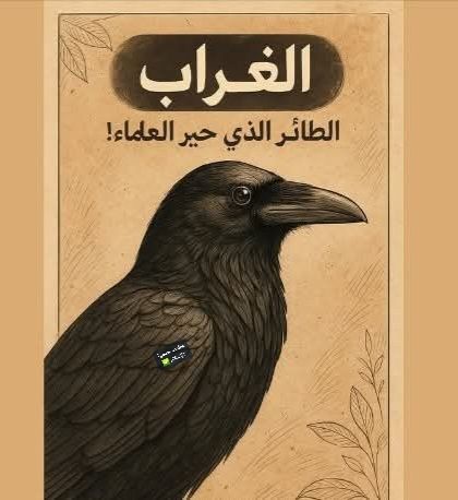 غراب وما يخفيه القدر..!! عبد الرحيم هريوى – خريبكة اليوم – المغرب